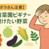【ズボラさん注意】家庭菜園ビギナーが避けたい野菜5選！